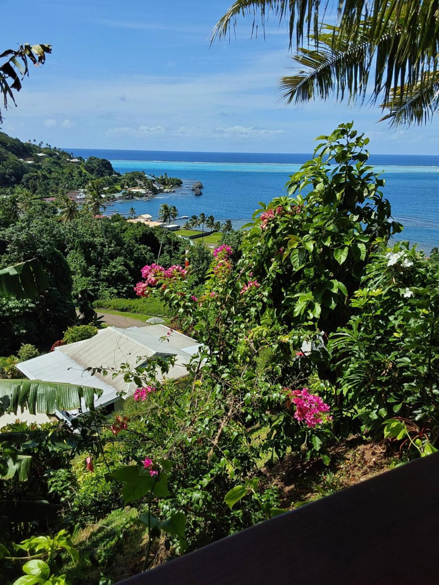 Fare Mahi Mahi Uturoa Exterior foto